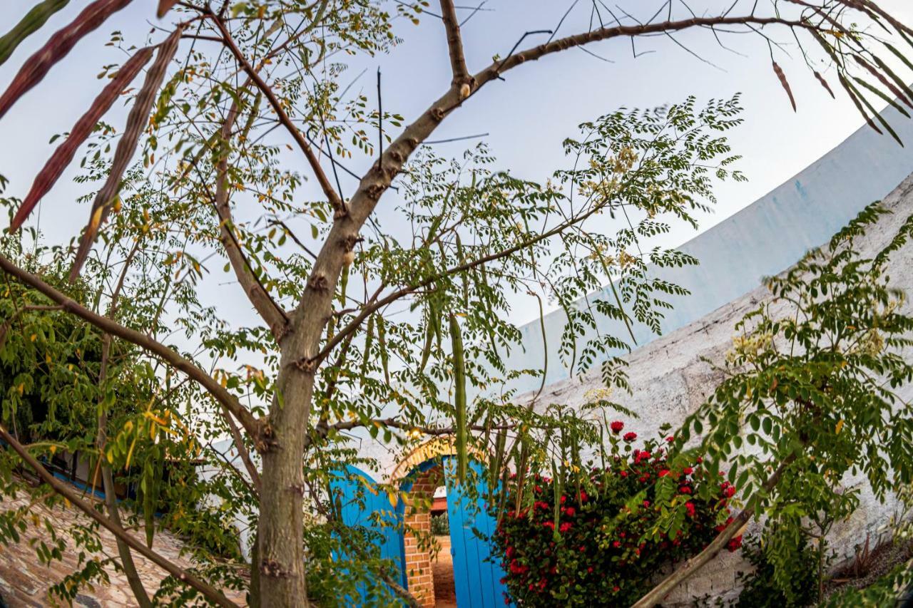 Pousada E Restaurante Tremembe Icapuí المظهر الخارجي الصورة